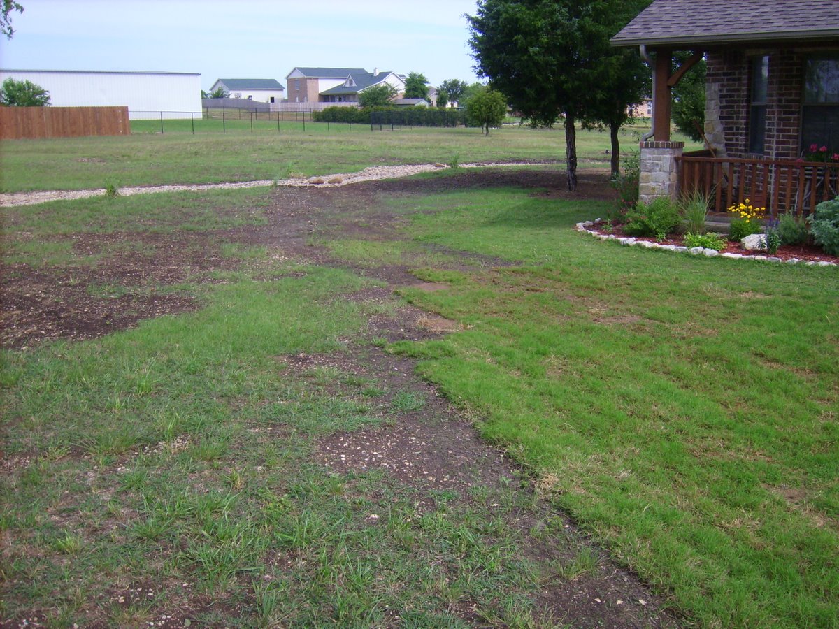 Trees removed, trough dug. This is to promote drainage from the front yard to the creek.