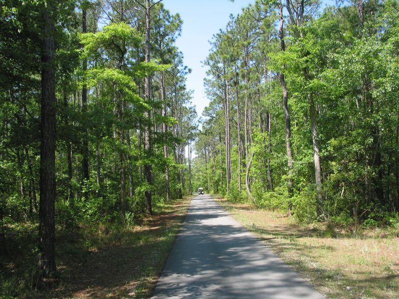 River's Edge - Cart Path Between Holes
