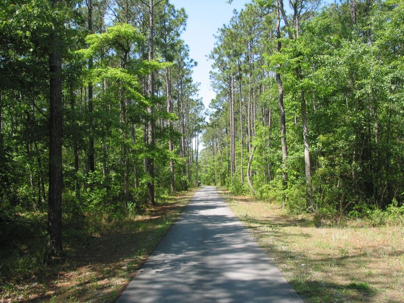 River's Edge - Cart Path in the Woods