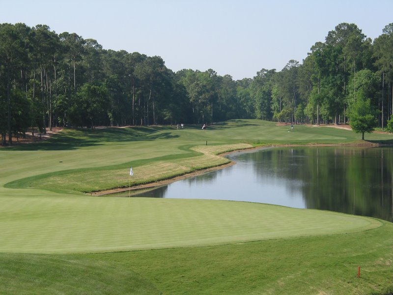 IMG 3656 - Looking back at the 18th