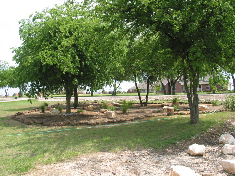 Another angle of the new bordered area, after the Roundup has started killing everything