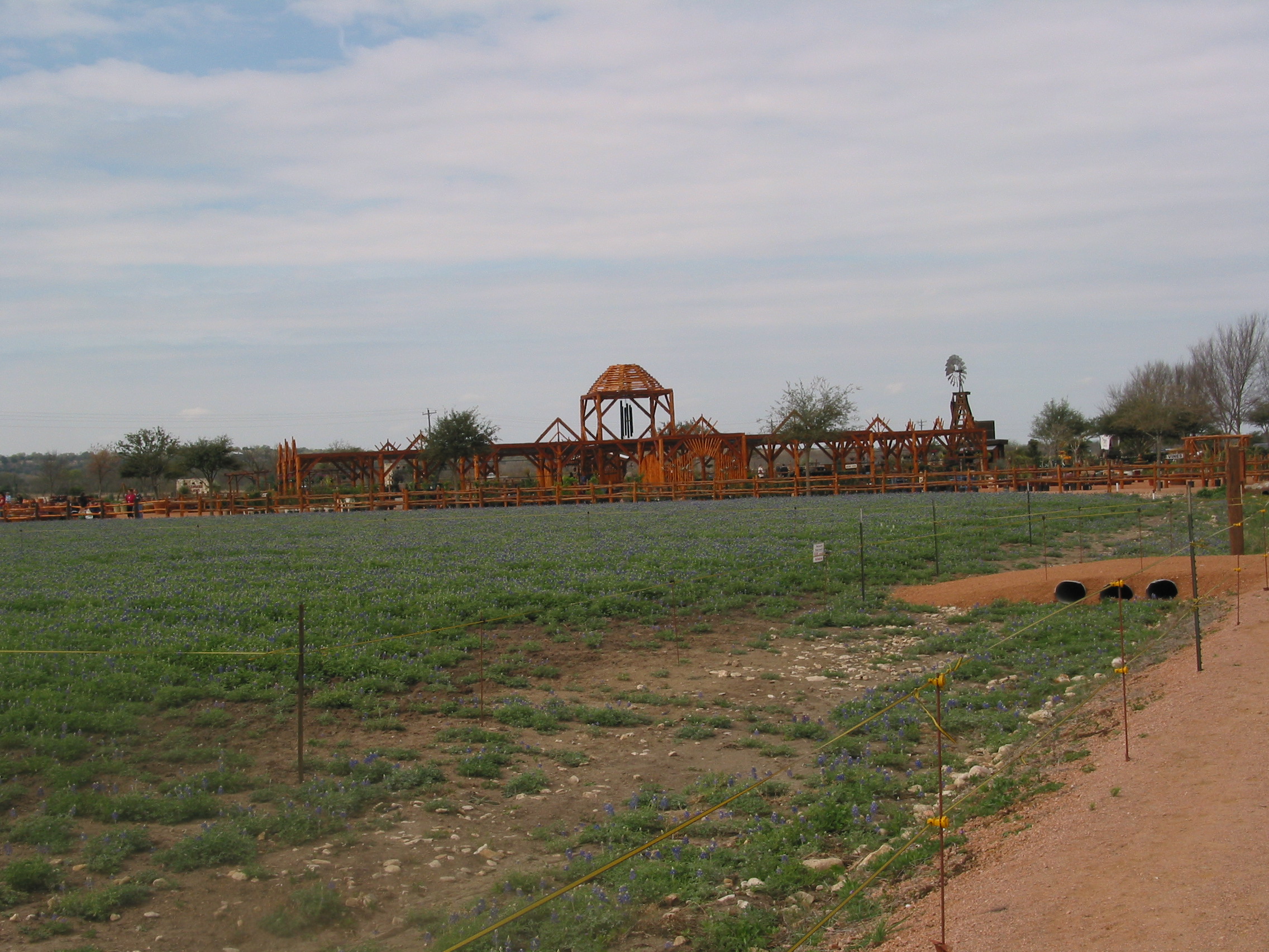 Looking back over the bluebonnets toward the huge wind chimes
