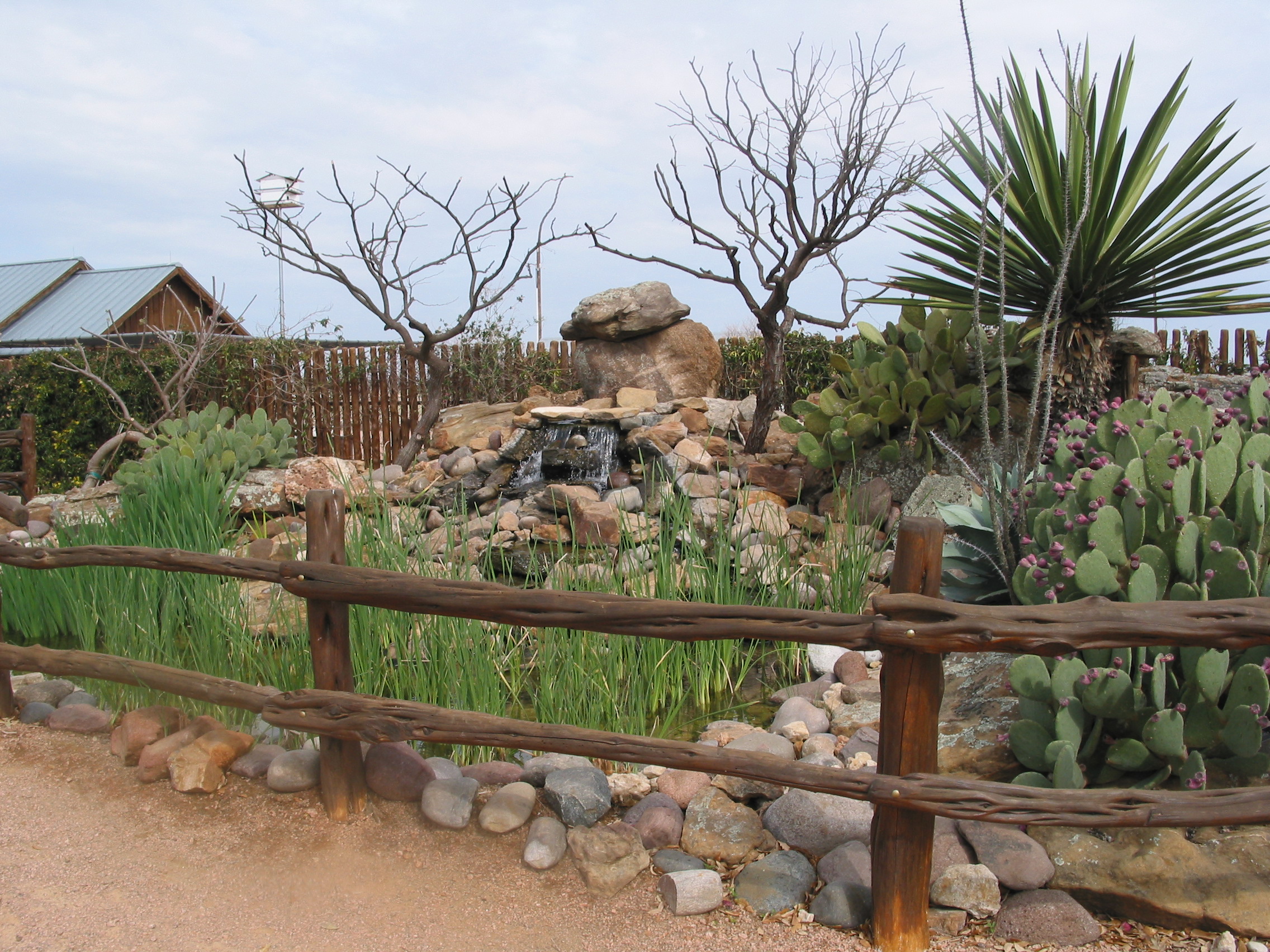A neat 'water feature'