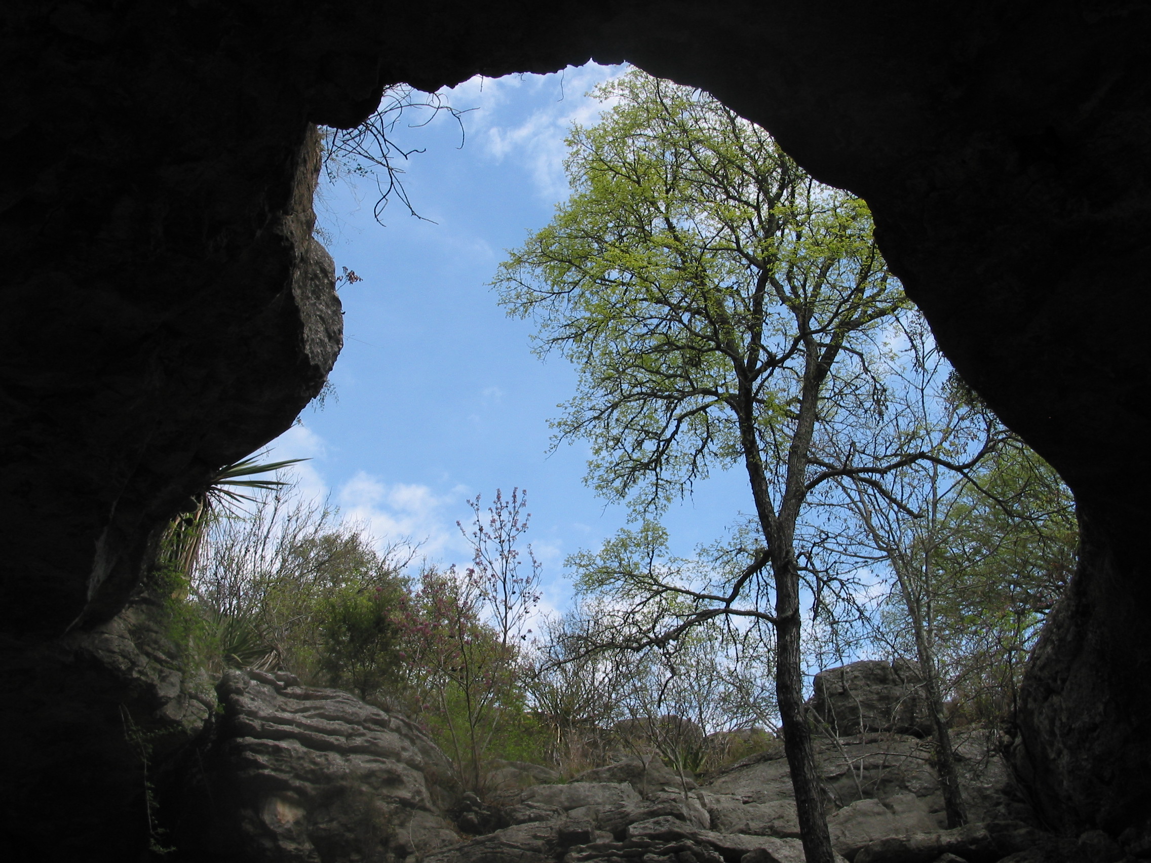Looking out through a large sink-hole