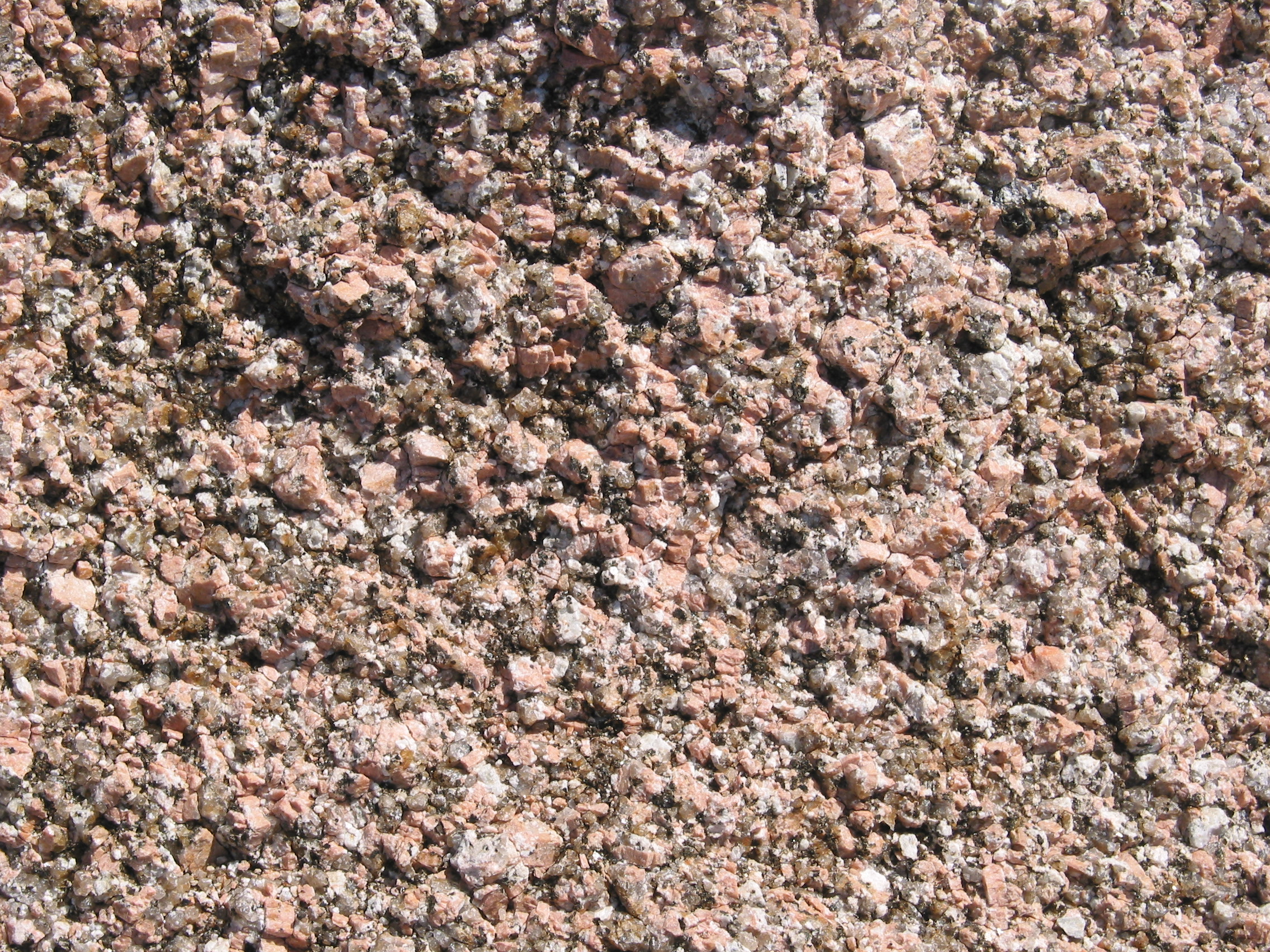 A close-up of a really weathered section of granite
