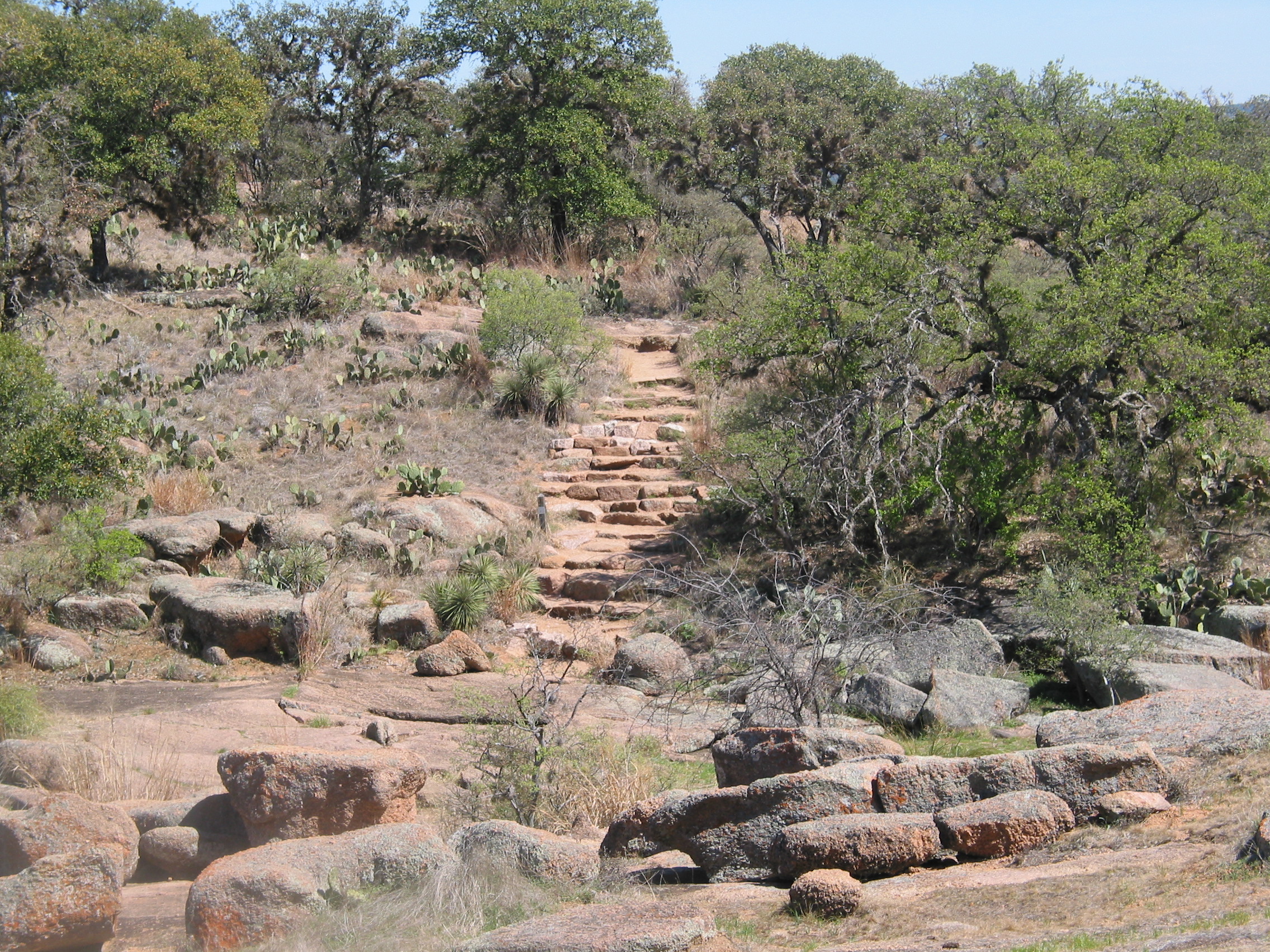 We assume these are man-made steps