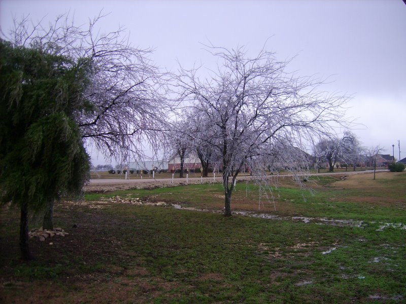 DSCI0145