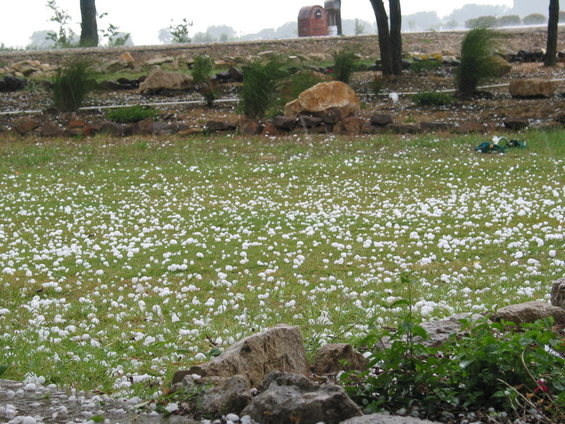 A lower shot across the ground