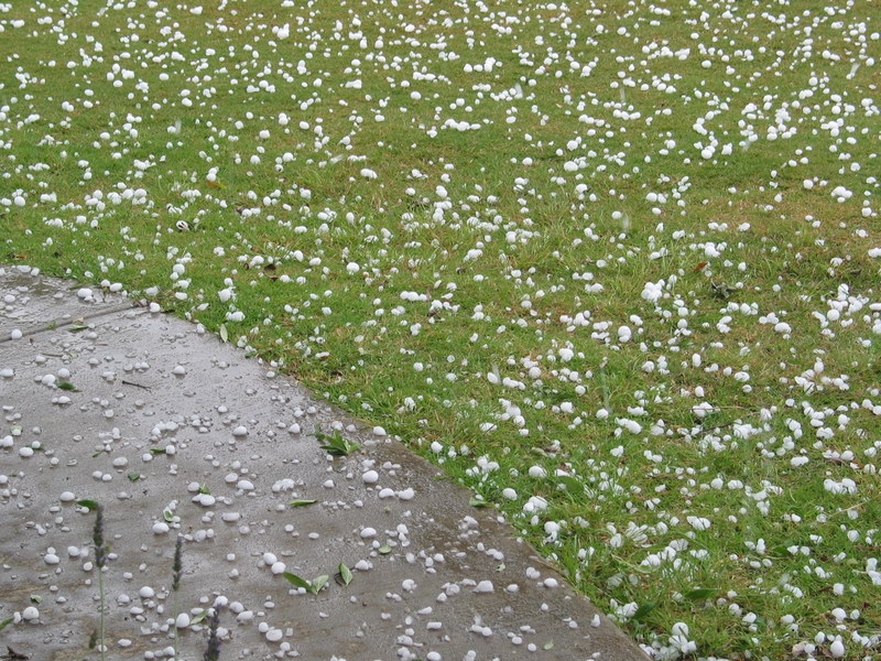 Close up of the hail stones