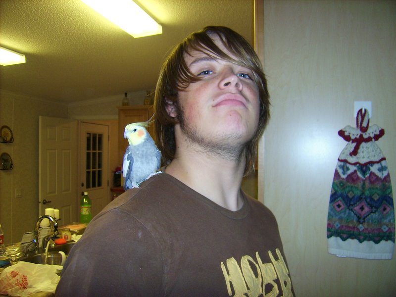 Cameron tries to get the bird to groom his whiskers