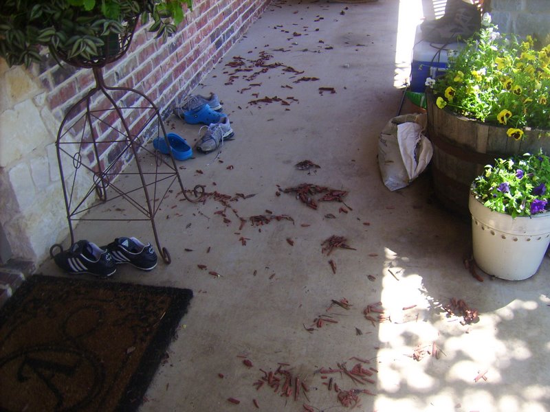 This mulch on the porch shows how high the water got