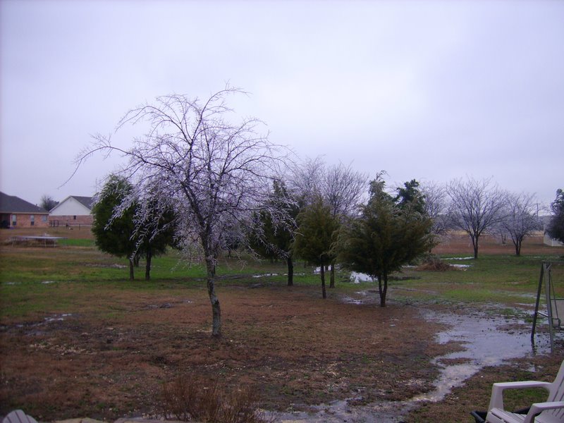 Ice Storm 2007