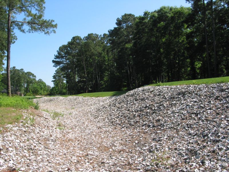 Oyster Bay - Hole 6's oyster bed teebox