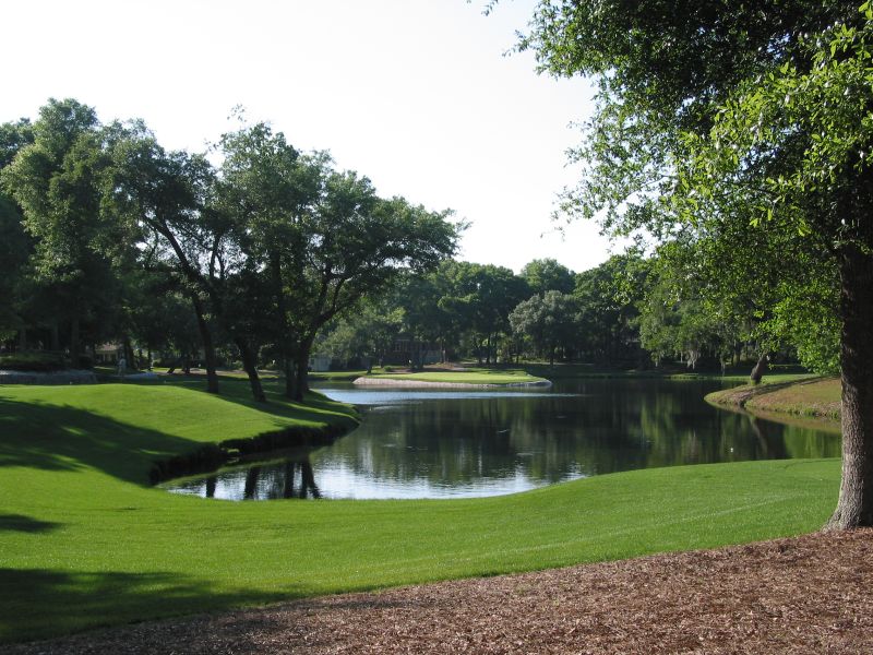 Oyster Bay - Hole 17's Oyster Bed Green