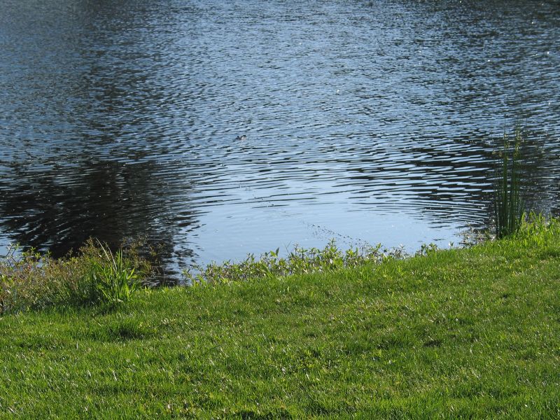 Oyster Bay