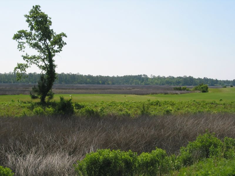 River's Edge - White Tees on Hole 9