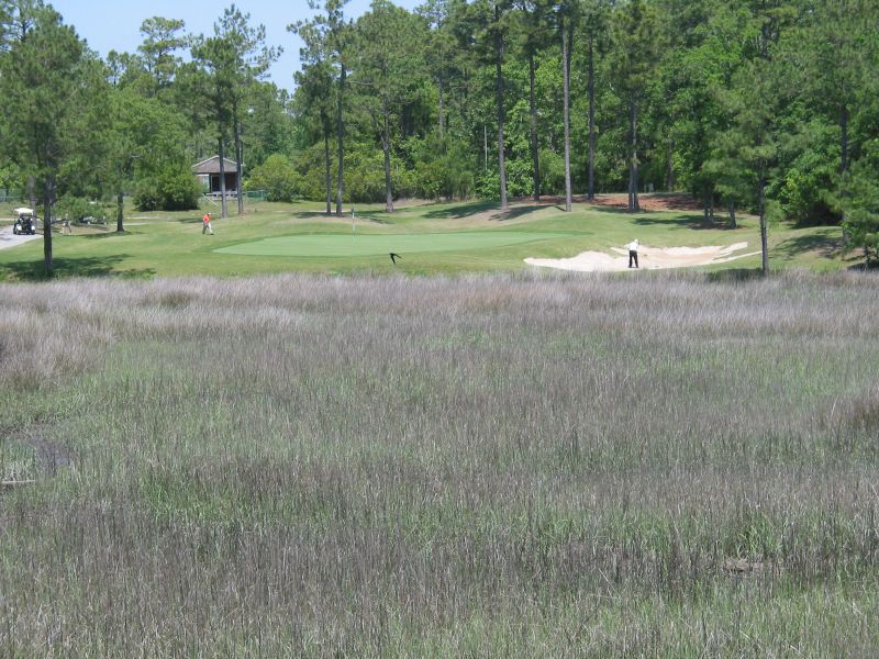 River's Edge - Joey in the Sand on Hole 14