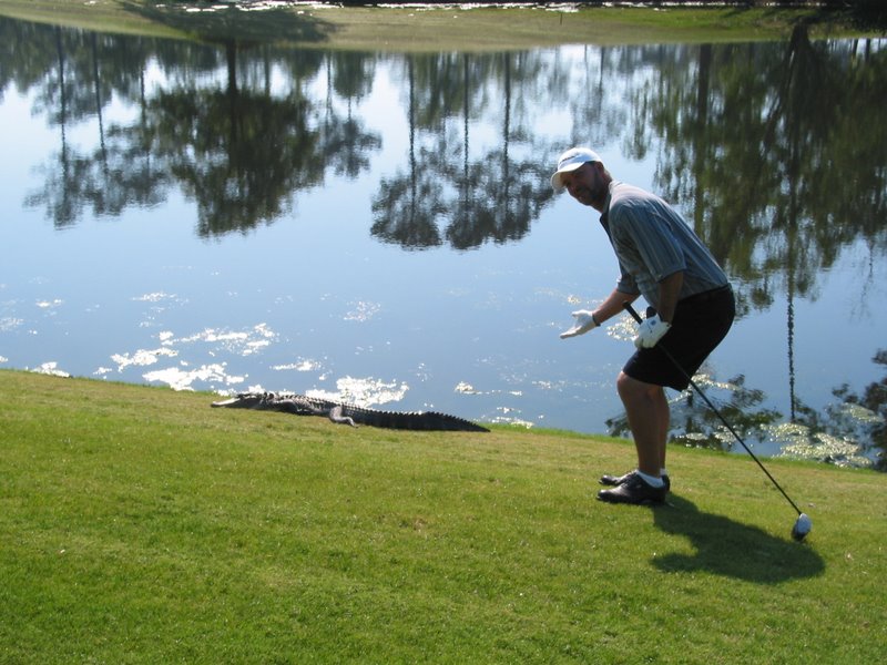 IMG 3646 - TPC - Joey reveals the true size of the gator