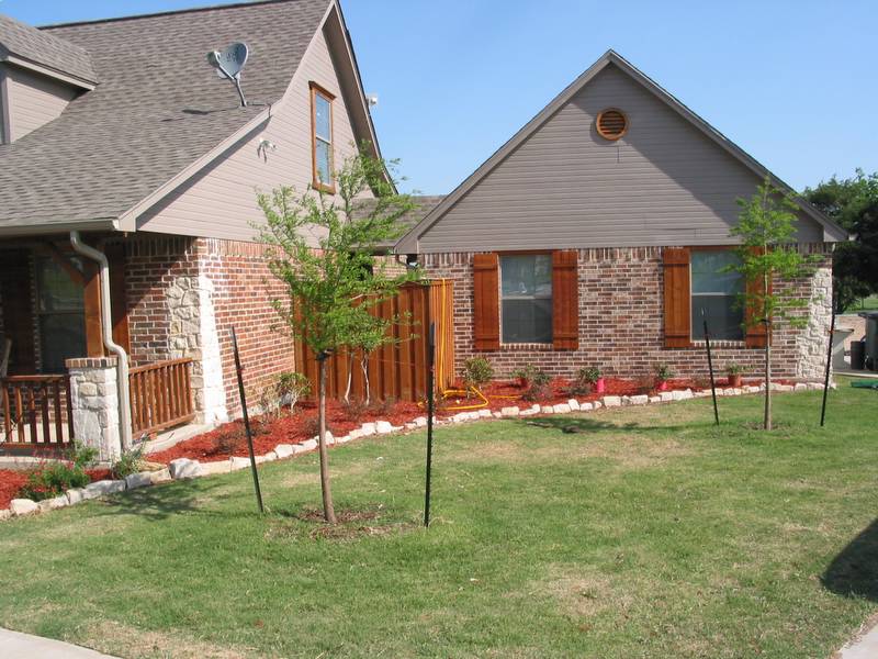 The second newest landscaped area, along with Michelle's two new Bald Cypress trees